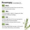 Rosemary Essential Oil