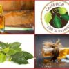 Camphor Essential Oil